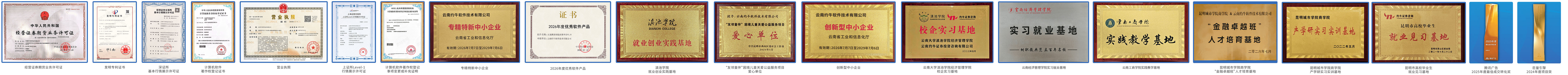 公司资质